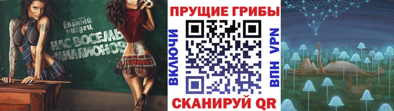 Галлюциногенные грибы Psilocybine cubensis  hydra ссылки  Мантурово 